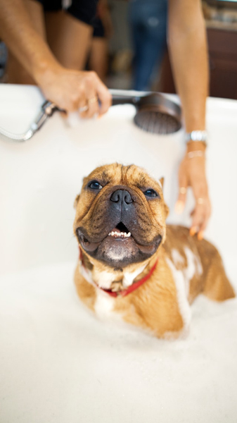 happy boy having a bath